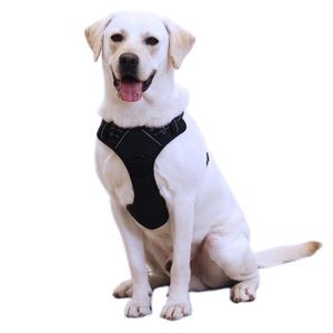 No Pull Dog Harness